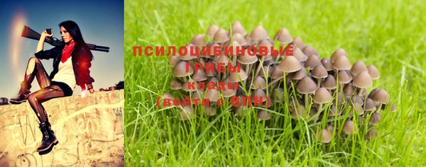 каннабис Михайловка