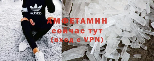 индика Билибино