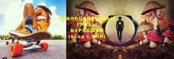 трава Наволоки
