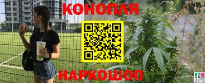 Альфа ПВП Ирбит