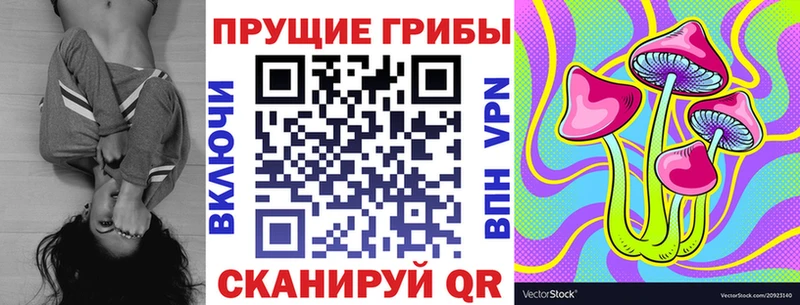 Галлюциногенные грибы Psilocybe  Чернушка 