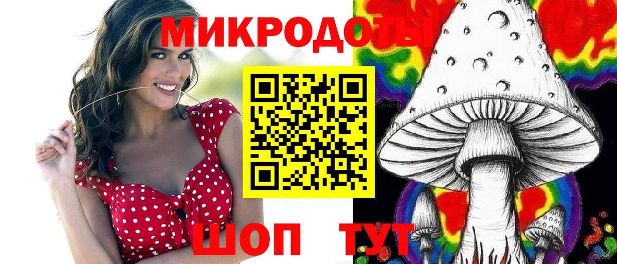 Галлюциногенные грибы мицелий Чернушка