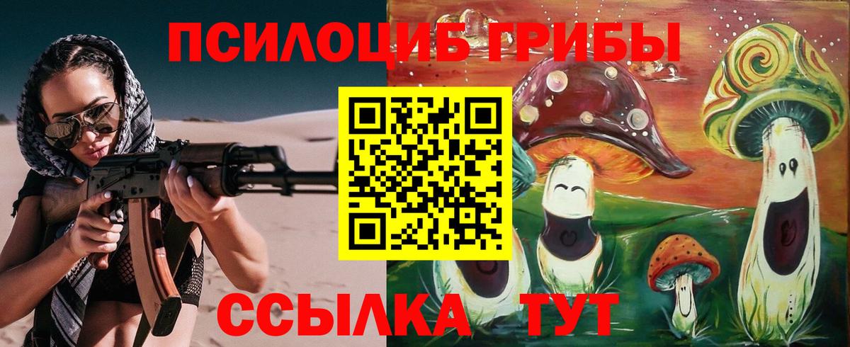 Чернушка  Псилоцибиновые грибы Psilocybe  Вход с VPN 