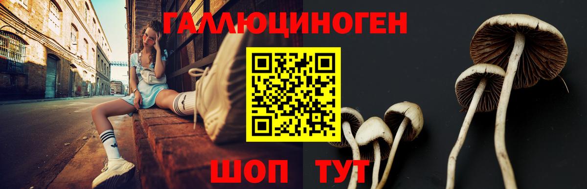 Галлюциногенные грибы MAGIC MUSHROOMS Чернушка