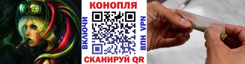 как найти закладки  Чернушка  MEGA ТОР  Бошки марихуана тримм 